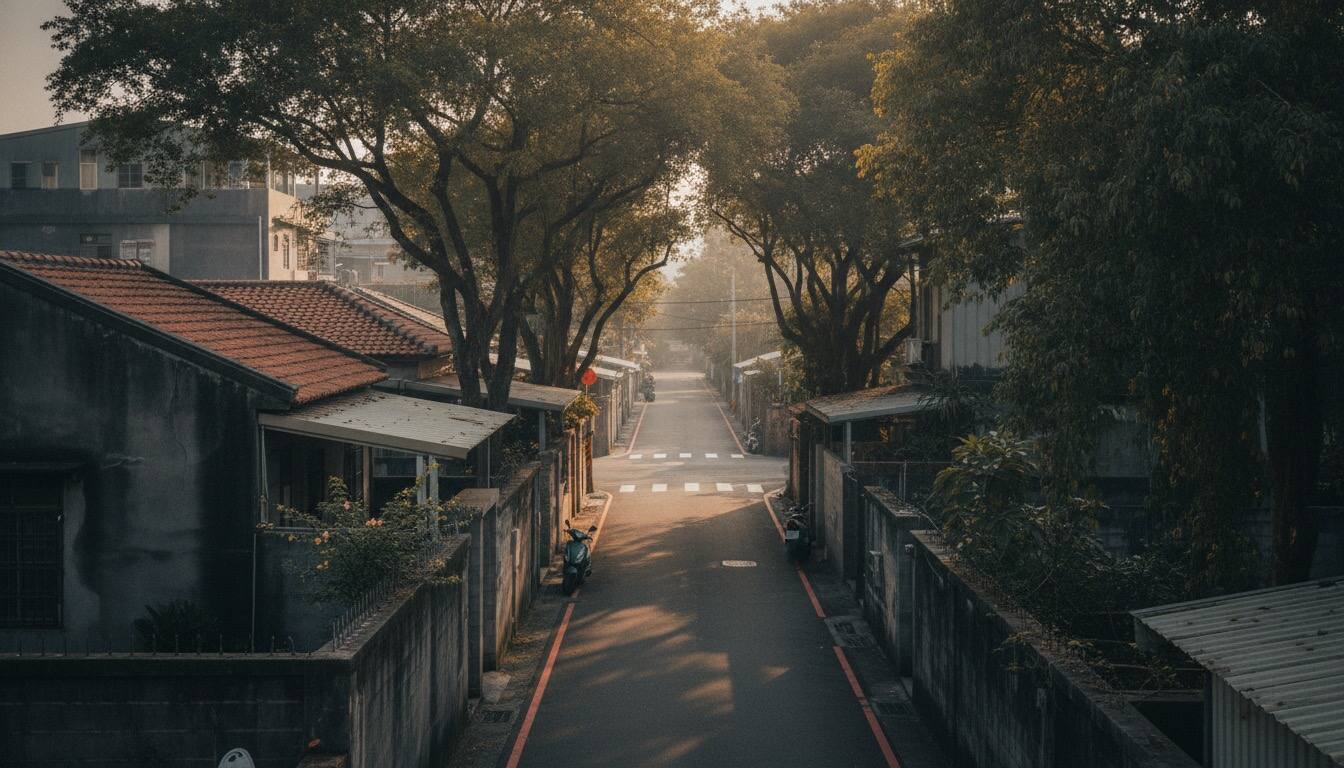 兩條巷道匯成一條路的金黃時刻俯瞰